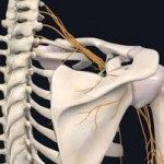 c26fad6c3af34845a1fe184477ef37f7