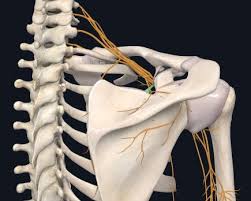 c26fad6c3af34845a1fe184477ef37f7